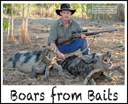 Boars from Baits - page 82 Issue 69 (click the pic for an enlarged view)